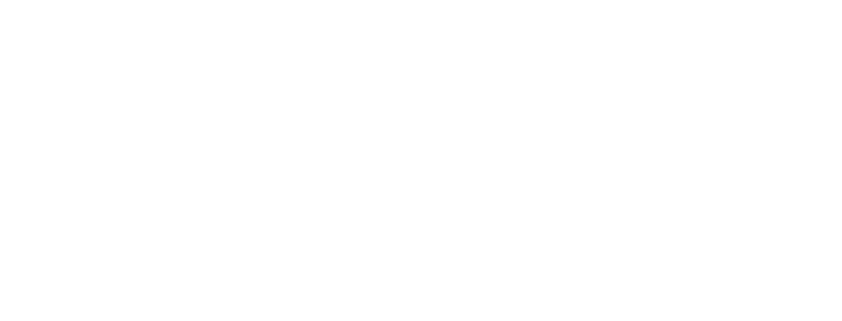 8SKIN PRO